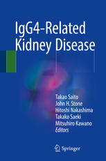 Igg4related Kidney Disease 1st Edition Takao Saito John H Stone