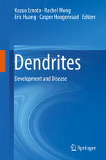Dendrites Development And Disease 1st Edition Kazuo Emoto Rachel Wong