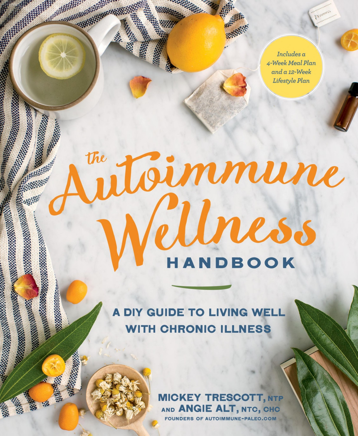 The Autoimmune Wellness Handbook A Diy Guide To Living Well With Chronic Illness Angie Alt