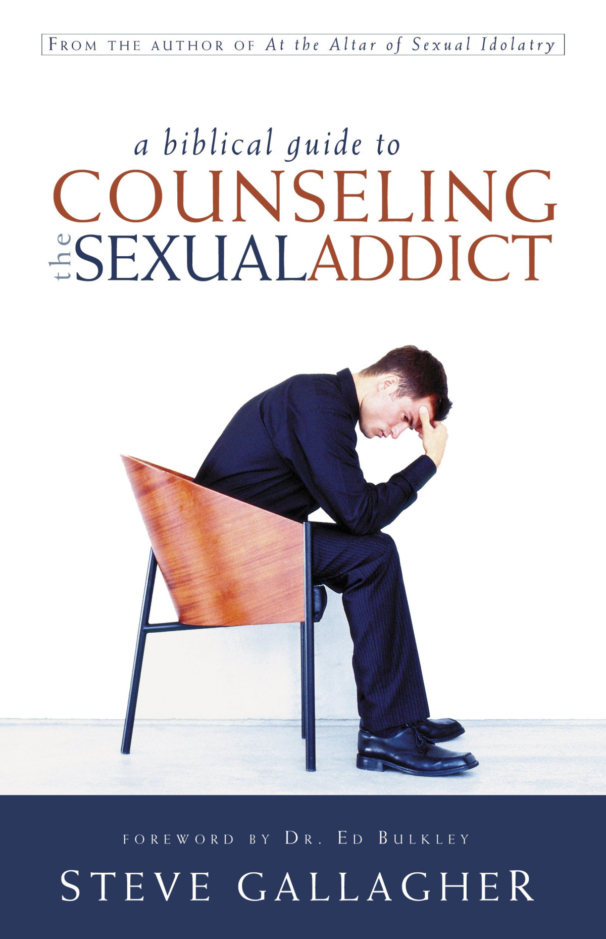 A Biblical Guide To Counseling The Sex Addict Epub Mobi Pdf Steve Gallagher