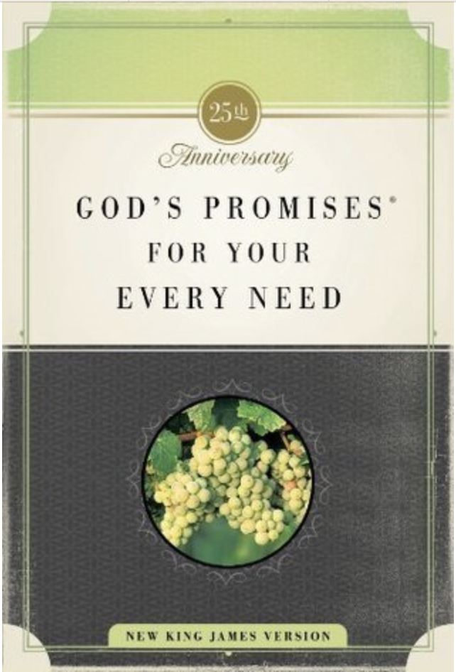 Gods Promises For Your Every Need 25th Anniversary Edition Epub Mobi Pdf Jack Countryman
