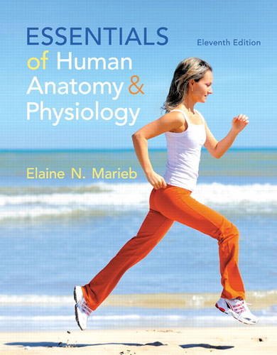 Essentials Of Human Anatomy Physiology Eleventh Edition 11th Edition Elaine N Marieb