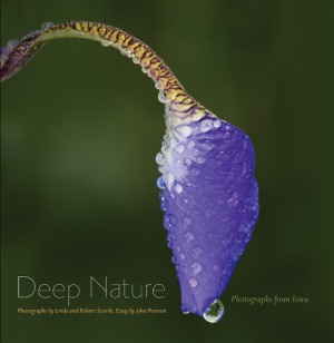 Deep Nature Photographs From Iowa John Pearson Linda Scarth Robert Scarth
