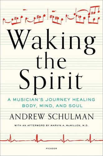 Waking The Spirit A Musicians Journey Healing Body Mind And Soul Andrew Schulman