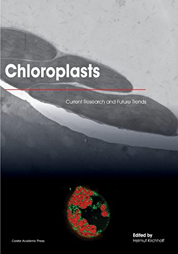 Chloroplasts Current Research And Future Trends Kirchhoff Helmut
