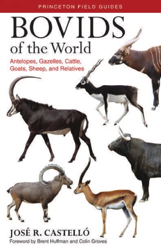 Bovids Of The World Antelopes Gazelles Cattle Goats Sheep And Relatives Jos R Castell