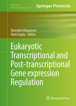 Eukaryotic Transcriptional And Posttranscriptional Gene Expression Regulation 1st Edition Narendra Wajapeyee