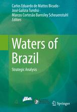 Waters Of Brazil Strategic Analysis 1st Edition Carlos Eduardo De Mattos Bicudo