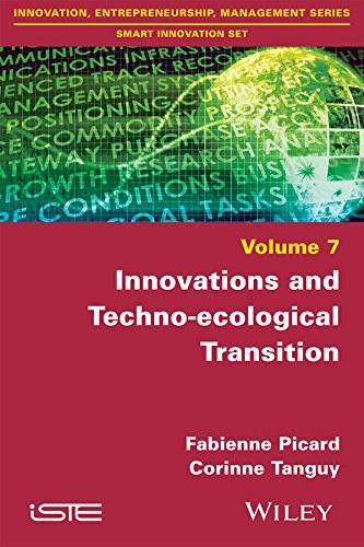 Innovations And Technoecological Transition 1st Edition Fabienne Picard