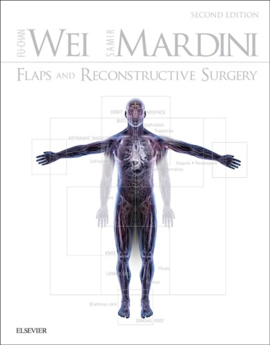 Flaps And Reconstructive Surgery 2nd Fuchan Wei Samir Mardini