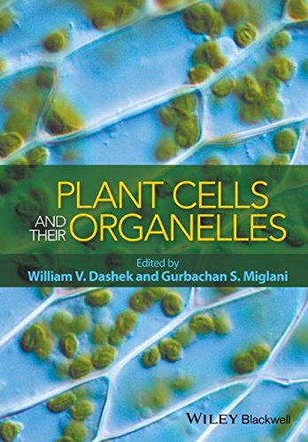Plant Cells And Their Organelles 1st Edition William V Dashek