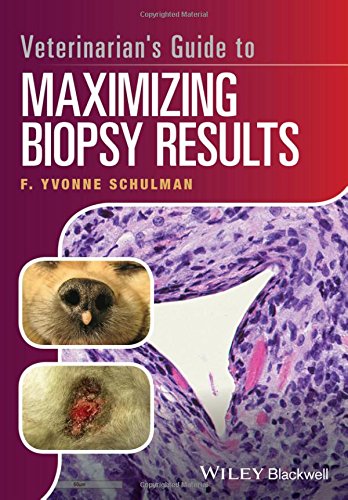 Veterinarians Guide To Maximizing Biopsy Results 1st Edition F Yvonne Schulman