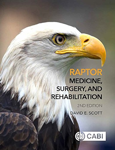Raptor Medicine Surgery And Rehabilitation Second Edition 2nd Edition De Scott