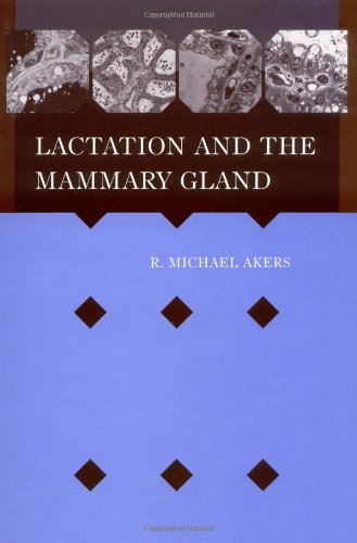 Lactation And The Mammary Gland 1st Edition R Michael Akers