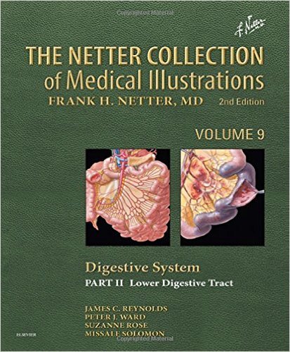 Digestive System Part Ii Lower Digestive Tract 2nd Edition James C Reynolds
