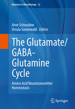 The Glutamategabaglutamine Cycle Amino Acid Neurotransmitter Homeostasis 1st Edition Arne Schousboe
