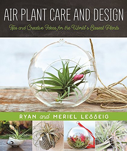 Air Plant Care And Design Tips And Creative Ideas For The Worlds Easiest Plants Ryan And Meriel Lesseig