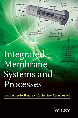 Integrated Membrane Systems And Processes 1st Edition Basile
