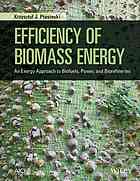 Efficiency Of Biomass Energy An Exergy Approach To Biofuels Power And Biorefineries Ptasinski