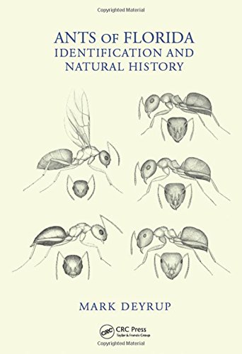 Ants Of Florida Identification And Natural History Mark Deyrup