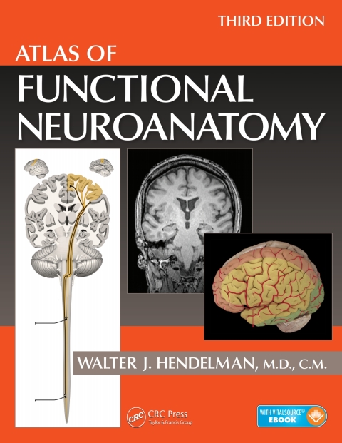 Atlas Of Functional Neuroanatomy Third Edition Hendelman Walter