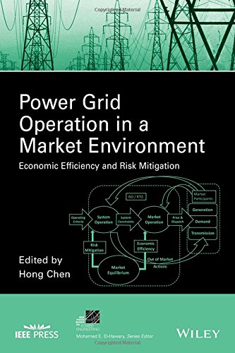 Power Grid Operation In A Market Environment Economic Efficiency And Risk Mitigation 1st Edition Chen