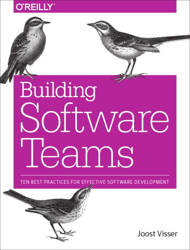 Building Software Teams Ten Best Practices For Effective Software Development 1st Edition Joost Visser