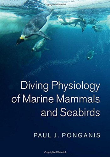 Diving Physiology Of Marine Mammals And Seabirds 1st Edition Paul J Ponganis