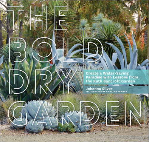 The Bold Dry Garden Lessons From The Ruth Bancroft Garden Johanna Silver