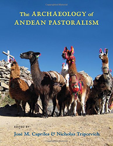 The Archaeology Of Andean Pastoralism Jos M Capriles Nicholas Tripcevich