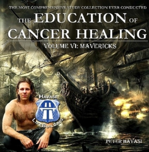 Education Of Cancer Healing Vol Vi Mavericks Peter Havasi