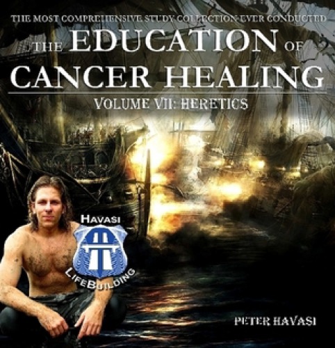 Education Of Cancer Healing Vol Vii Heretics Peter Havasi