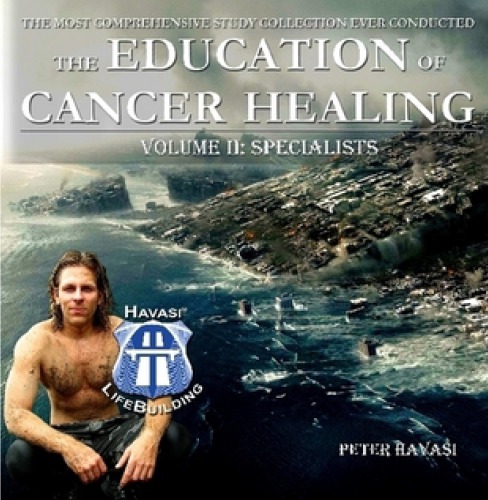 Education Of Cancer Healing Vol Ii Specialists Peter Havasi
