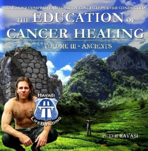 Education Of Cancer Healing Vol Iii Ancients Peter Havasi