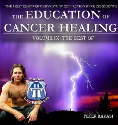 Education Of Cancer Healing Vol Ix The Best Of Peter Havasi