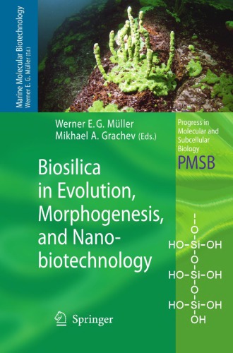 Biosilica In Evolution Morphogenesis And Nanobiotechnology Case Study Lake Baikal 2009th Edition Werner E G Mller