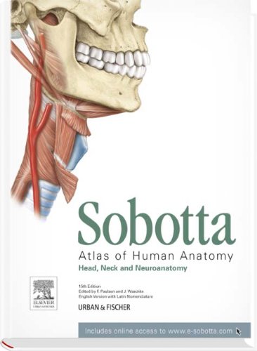 Sobotta Atlas Of Anatomy Head Neck And Neuroanatomy 15th Friedrich Paulsen