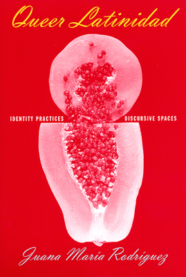 Queer Latinidad Identity Practices Discursive Spaces Sexual Cultures 24 1st Edition Juana Mara Rodrguez