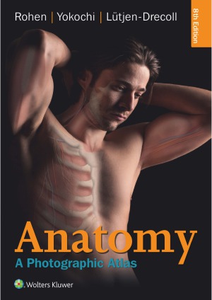 Anatomy A Photographic Atlas 8th Johannes W Rohen Chihiro Yokochi