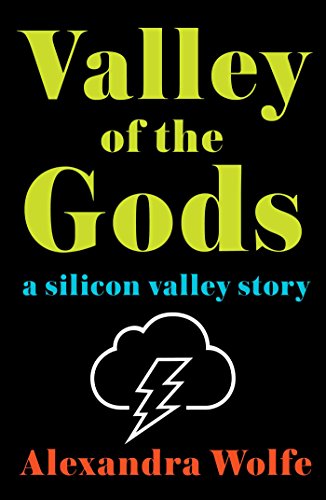 Valley Of The Gods A Silicon Valley Story Alexandra Wolfe