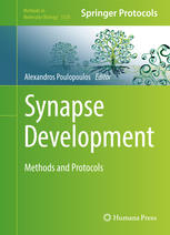 Synapse Development Methods And Protocols 1st Edition Alexandros Poulopoulos Eds