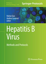 Hepatitis B Virus Methods And Protocols 1st Edition Haitao Guo