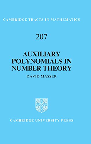 Auxiliary Polynomials In Number Theory 1st Edition Masser David William