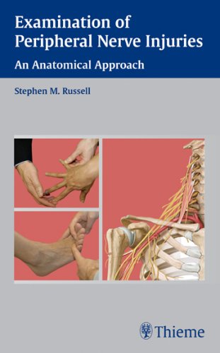 Examination Of Peripheral Nerve Injuries An Anatomical Approach 1st Edition Russell