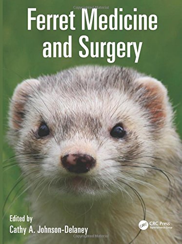 Ferret Medicine And Surgery For The Veterinary Practitioner 1st Edition Cathy Johnsondelaney