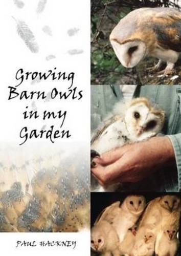 Growing Barn Owls In My Garden Paul Hackney