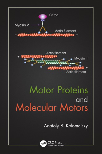 Motor Proteins And Molecular Motors Kolomeisky Anatoly B