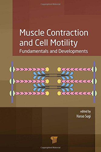 Muscle Contraction And Cell Motility Fundamentals And Developments Haruo Sugi
