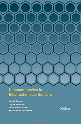 Nanocomposites In Electrochemical Sensors Samira Bagheri Iraj Sadegh Amiri