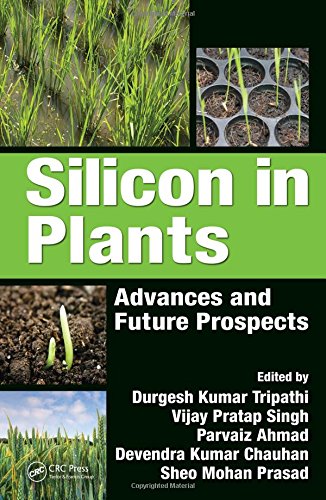 Silicon In Plants Advances And Future Prospects Durgesh Kumar Tripathi